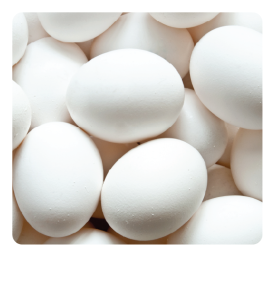 EGGS